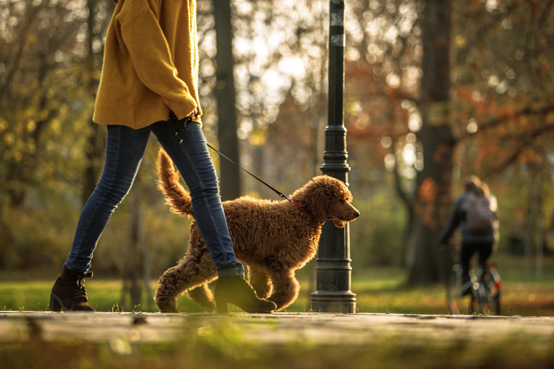 https://admin.chmielnaduo.pl/app/uploads/2022/10/iStock-1203699410_1920-1.jpg
